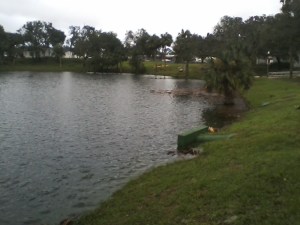 Lake Play Post Hurricane Irma