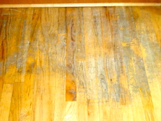 One Damaged Floor